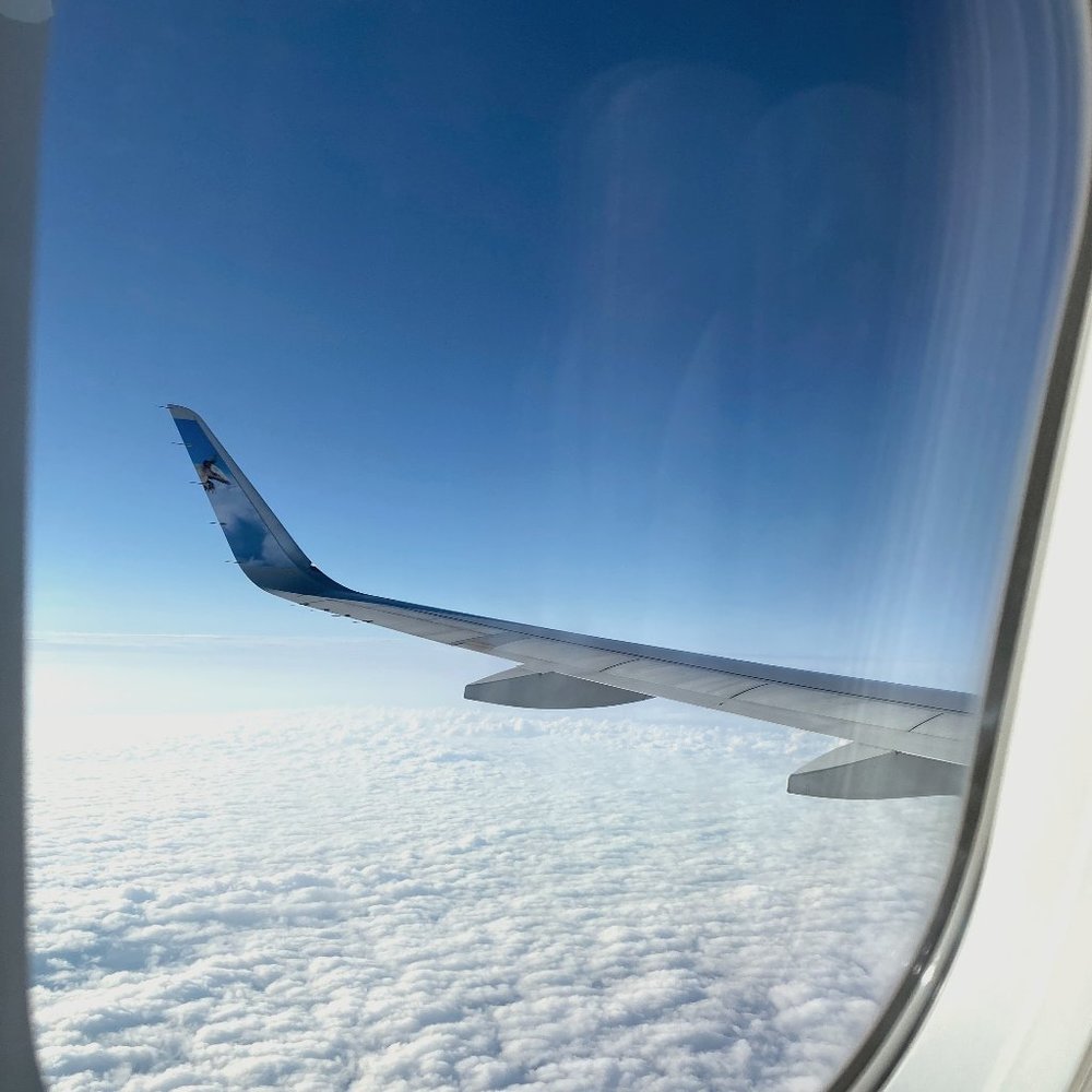 meet your posher, orange slice.